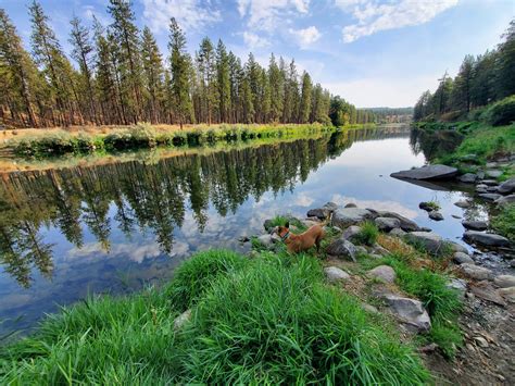 Trail 212 & 25 Loop: A Pacific Northwest Gem - A Traveler's Detailed