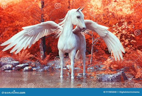 Mythical Pegasus Posing In An Enchanted Forest Stock Illustration