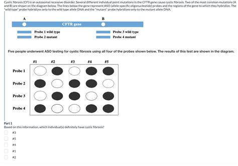 Solved Cystic Fibrosis CF Is An Autosomal Recessive Chegg