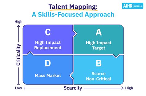 talent mapping  hr    skills focused approach