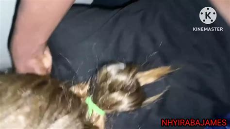 She Let Me Fuck Her Hard Because She Wanted To Make Money By Nhyiraba James XHamster