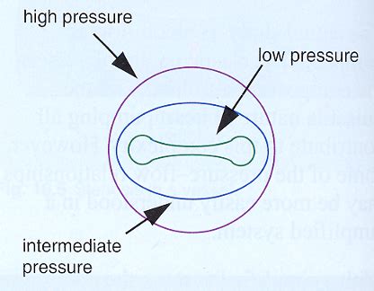 SON 111 Physics Venous Hemodynamics Flashcards Quizlet