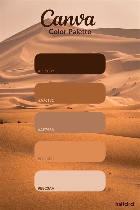 Boris Ulzibat Desert Color Palette Canva Color Palette Desert Color