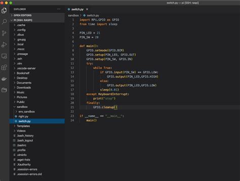 Raspberry Piへの公開鍵認証でのssh接続 And Vscode Remote Developmentの設定方法