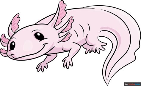 How To Draw An Axolotl Really Easy Drawing Tutorial