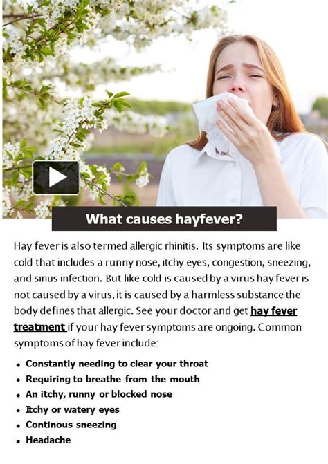 Ppt What Causes Hayfever Powerpoint Presentation Free To Download Id 959652 Ndmxm