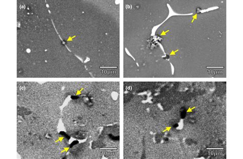 SEM Images Of Pit Initiation Sites A Mg 17 Sr 2 In Z1 Alloy B Mg 6 Zn