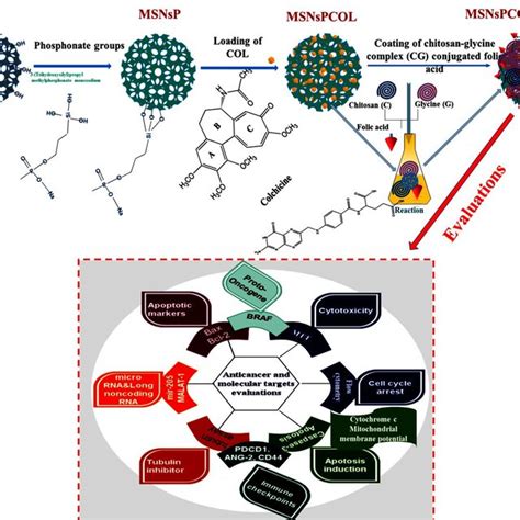 Schematic Representation Of The Steps To Obtain The Proposed Drug