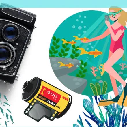 Zodiac Pool Cleaner Not Moving Troubleshooting Guide Swimpoolhub