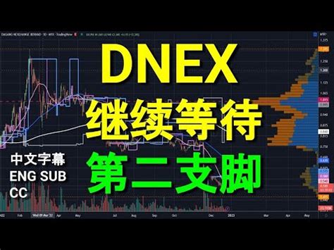 DNEX DAGANG NEXCHANGE 继续等待第二支脚 中英文字幕ENG SUB CC YT会员问股福利 午时技术分析