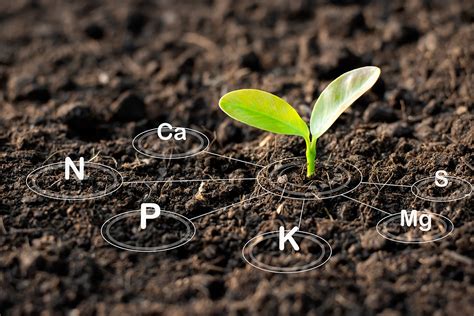 Sustainability Soil Health Crop Rotation And Good Yields Dutch Openers