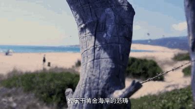 想体验一夜暴富的感觉，来一趟马贝拉就够了！