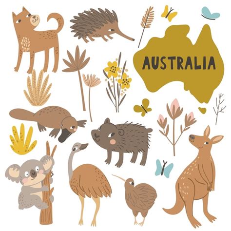 55,523 Australian Native Animals Images, Stock Photos, 3D objects ...