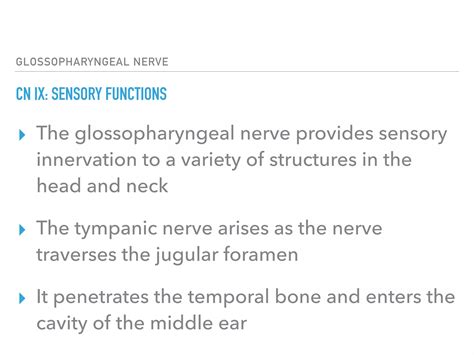 Glossopharyngeal Nerve PPT