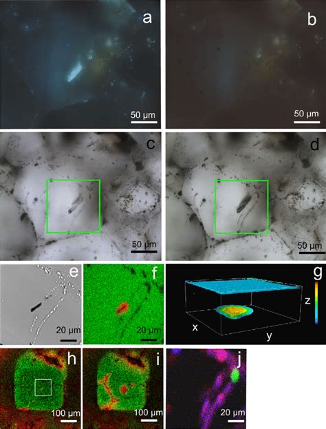 Fluorescence Micrographs Of An Oil Bearing Fluid Inclusion A Before