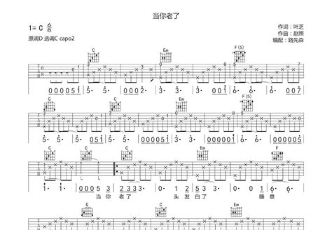 当你老了吉他谱赵照c调弹唱72专辑版 吉他世界