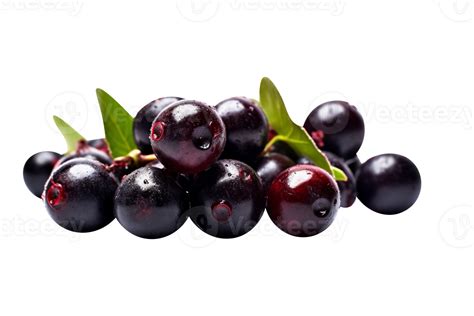 Fresh Bunch Acai Berries Isolated On Transparent Background Png