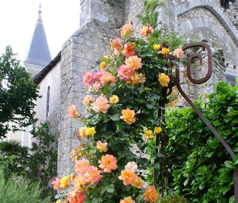 What a way to Garden?: french gardening | French country gardens