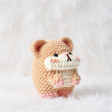 how to hamster hyperactive for beginners 2