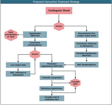 State Of Shock Contemporary Vasopressor And Inotrope Use In