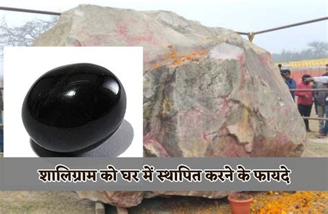 Shaligram Stone