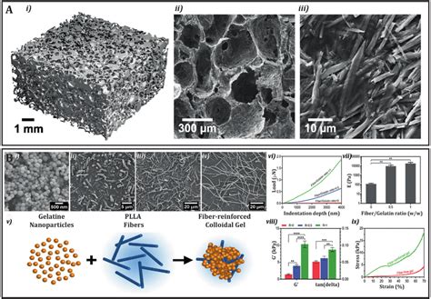 A The Hierarchical Structure Of Hydroxyapatite Collagen Scaffolds Download Scientific Diagram