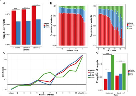 Discovery And Functional Potential Of Rare And Novel Variants Using