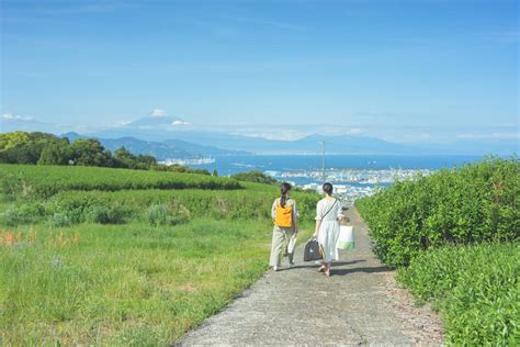 全景の茶の間 日本平 ｜絶景の茶畑テラス 茶の間｜静岡県内6箇所 絶景の茶畑テラス