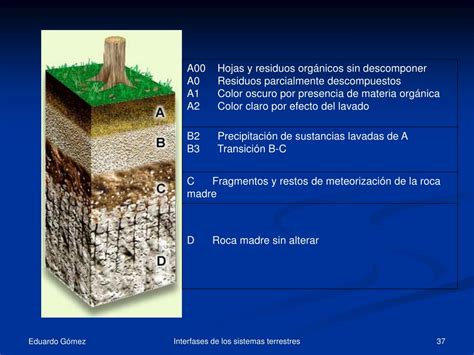 PPT Las Interfases En Los Sistemas Terrestres PowerPoint Presentation