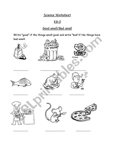 English Worksheets Good And Bad Smell