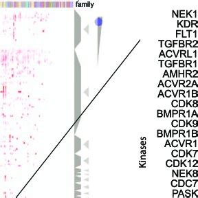 PDF Clustergrammer A Web Based Heatmap Visualization And Analysis