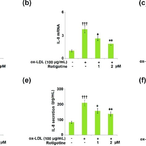 Treatment With Rotigotine Attenuated Ox Ldl Induced Oxidative Stress In