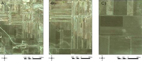 level  detail   spot  image    scale