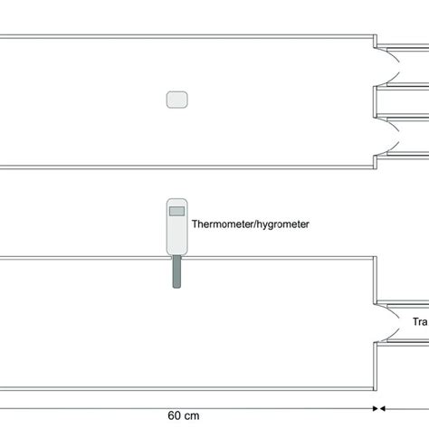 Schematic diagram of the dual-port olfactometer. | Download Scientific Diagram