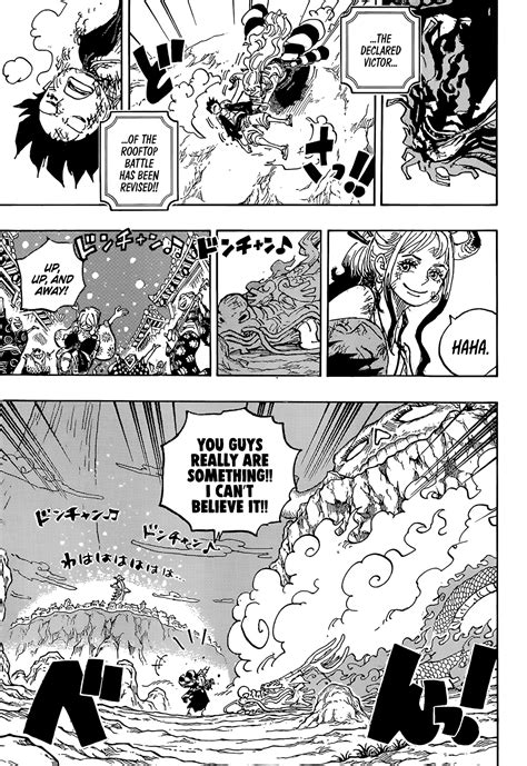 One Piece Manga Chapter Warrior Of Liberation One Piece Manga