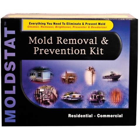 Moldstat Kit Mold Removal And Prevention 4007