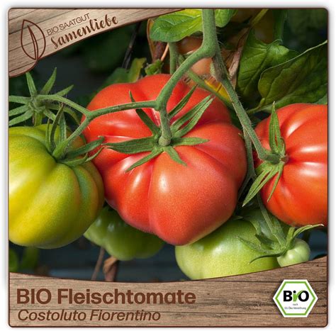 Samenliebe BIO Fleischtomaten Samen Alte Sorte Costoluto Fiorentino