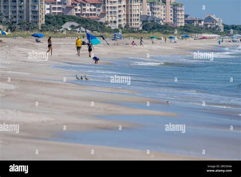 People Enjoying A Morning On The Beach At Amelia Island In Northeast