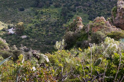 Gran Canaria Un Paisaje Por Descubrir Ruta Borde Caldera Bandama