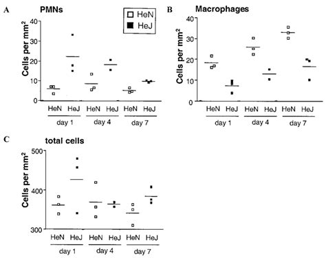 Disfunctional TLR 4 Leads To Changes In PMN And Macrophage Migration In