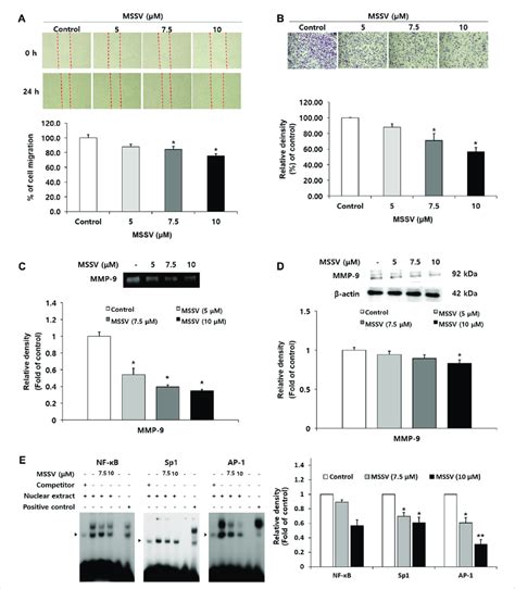 Mssv Suppressed Migration And Invasion Ability Of Hct116 Cells Through