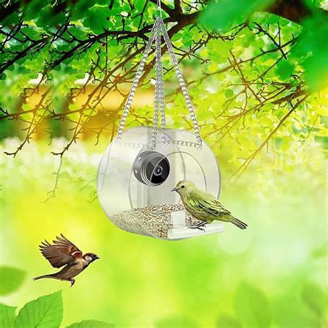 Bird Feeder with Camera, Bird Watching Camera HD 1080P Night-Version ...