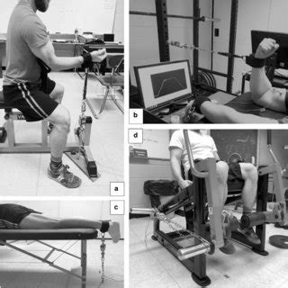 a Demonstration of elbow flexion maximal isometric test with horizontal ...