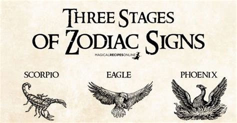 Stages Of Zodiac Signs Magical Recipes Online