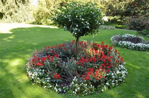 Cr Er Un Parterre De Fleurs Rond Id Es Et Conseils Suivre