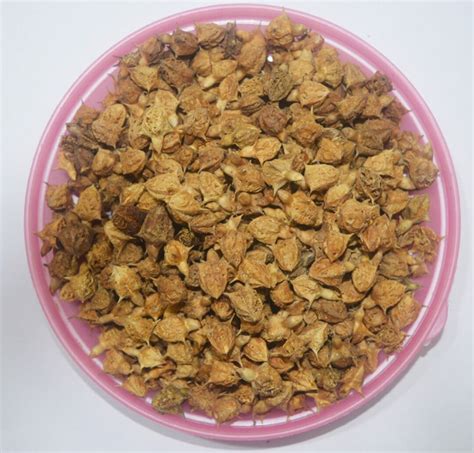 Gokhru Seeds Gokshura Seeds Tribulus Terrestris Seeds Gokshura Fruit