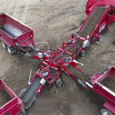 Convoyeur de pommes de terre 1695 Spudnik Equipment Company LLC à