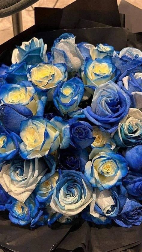 Pin De Anyeli Carolin Em Estick Rosas Azuis Noite Estrelada Van Gogh