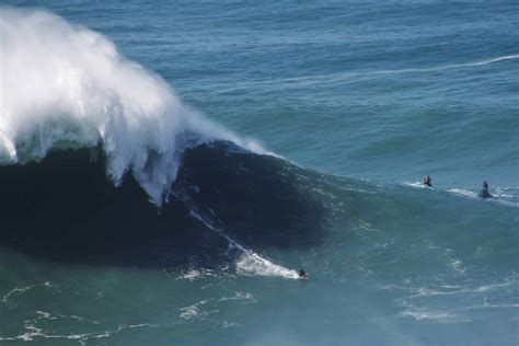 The neuroscience of BIG Wave surfing! - Future Eco Surf School