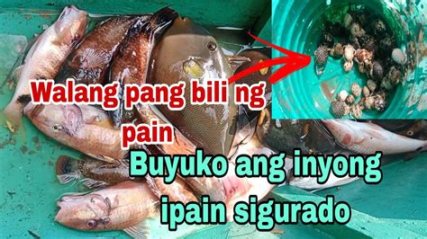 Kakaibang Pamain Sa Pamimingwit Ang Daming Nahuling Isda YouTube